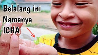 Aku punya Belalang kecil sangat Lucu