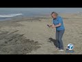 Oil Spill Fouls California Beaches 🌊