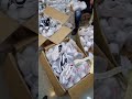 بزار الاميرات بزار الزوالي سلعة وسومة زينة كوشة برج بوعريريج بزار الاميرات بزار الزوالي سلعة وسومة زينة كوشة برج بوعريريج