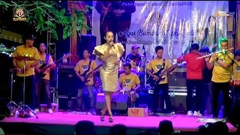 Bukankah Kau Tau - Elvy Sukaesih  Cover Dewi Shinta | OM. Dwipangga Kendal 2023