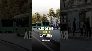 На Шота Руставели запущено движение по новой центральной полосе #новости #ташкент #узбекистан