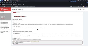 WebGoat Crypto Basics XOR Encoding Solution with Python