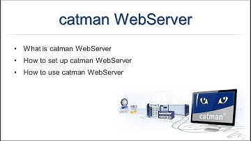 catman WebServer