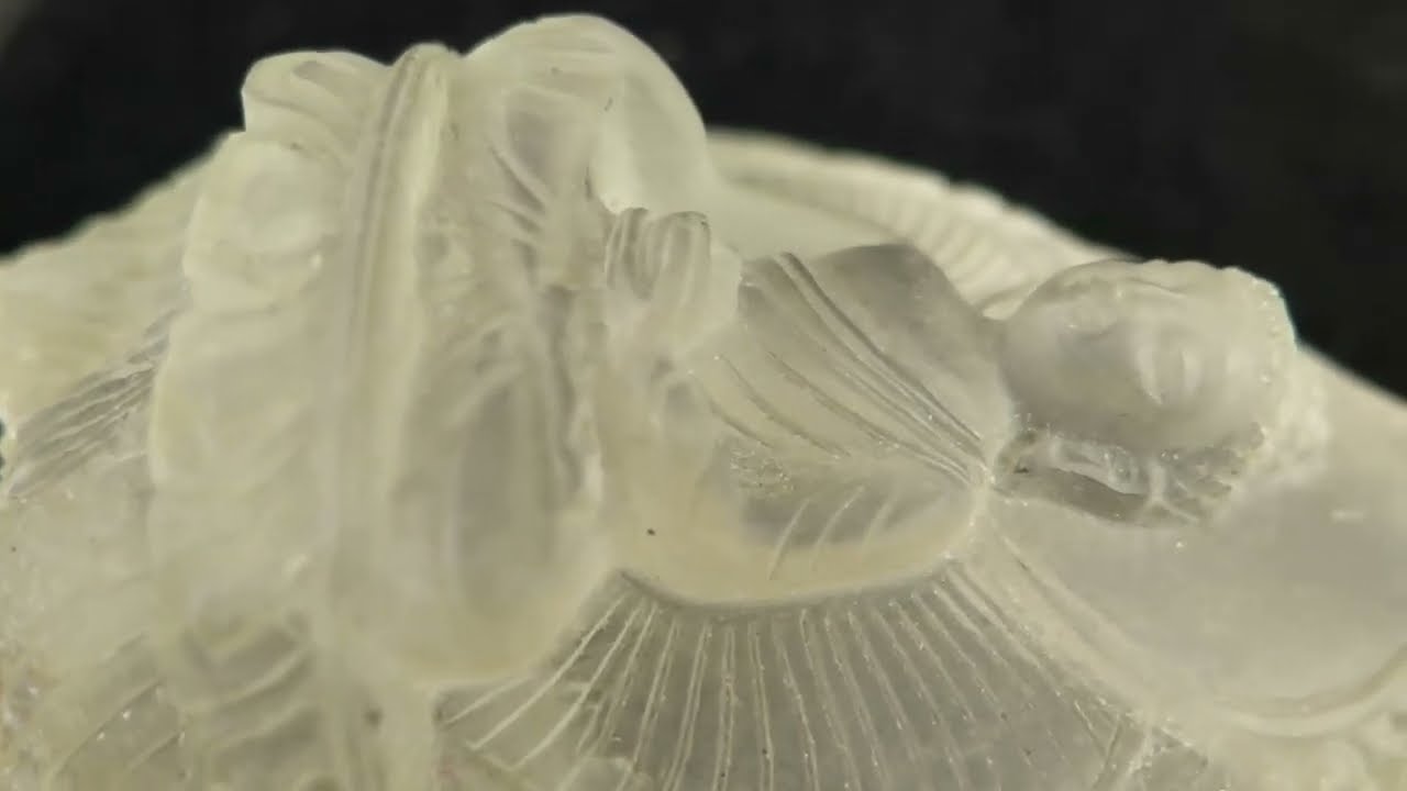 ヒマラヤ水晶 100mm 手彫 カービング 仏像 256g (ID:57134) | 榎本通商