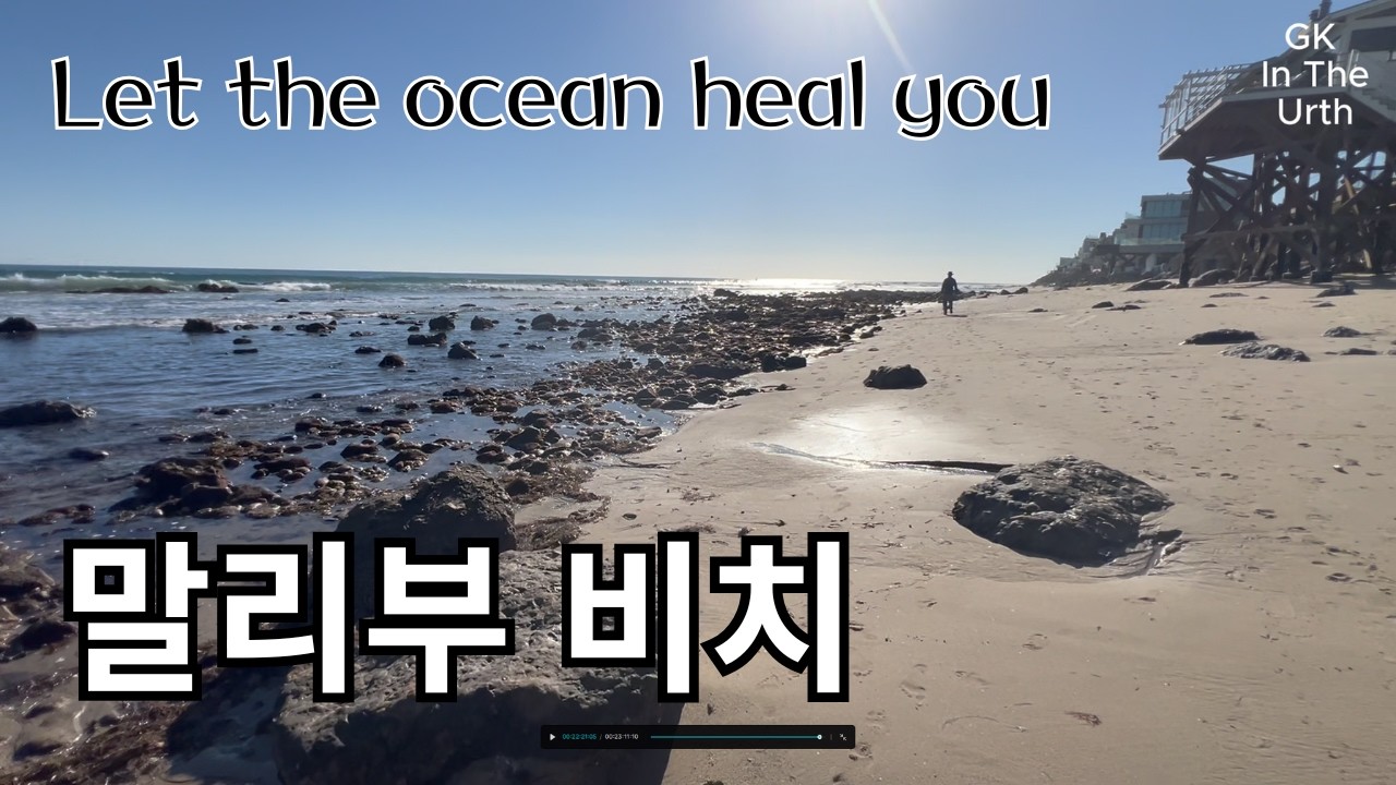 [LA일상] 말리부 비치에서 힐링, Malibu seafood 방문 | I visited Malibu Beach