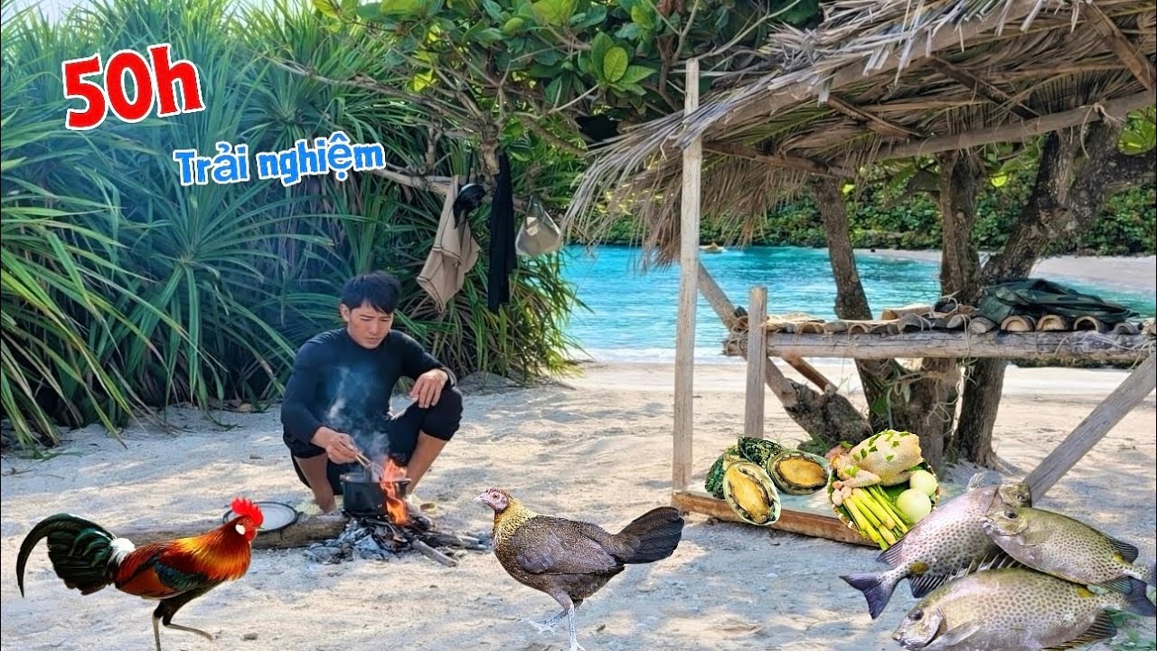 50h trải nghiệm lên rừng xuống biển bản full đặt b.ẫ,y gà rừng tìm thức ăn | 50 hour’s camping 