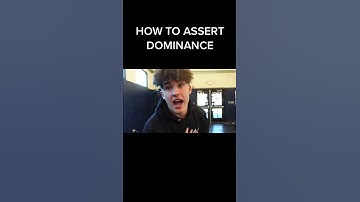 HOW TO ASSERT DOMINANCE #shorts #comedy