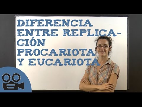 Video: ¿Cuáles son las similitudes entre la transcripción y la traducción?