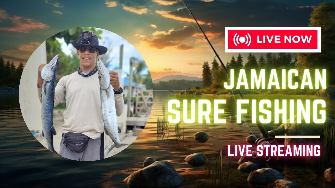 Jamaican Sure Fishing LIVE 🎣 Weekly Chat, Channel Reviews & More (Wednesdays 8PM)
