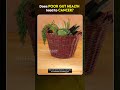 Just DO THIS to improve your GUT HEALTH | Foods For Gut Health | Gut Health Diet | Punarjan Ayurveda