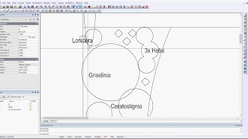 Import DXF file exported from Vectorworks into gCADPlus