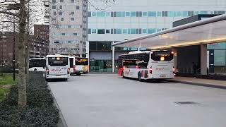 Belgische Gelede Bus Van De Lijn Als Lijn 450 Van Tilburg Station Ns Naar Turnhoutbstation Nmbs.