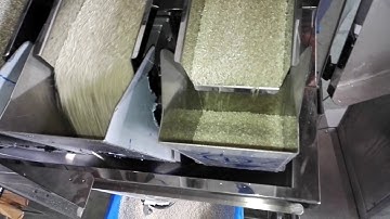 4 head linear weigher