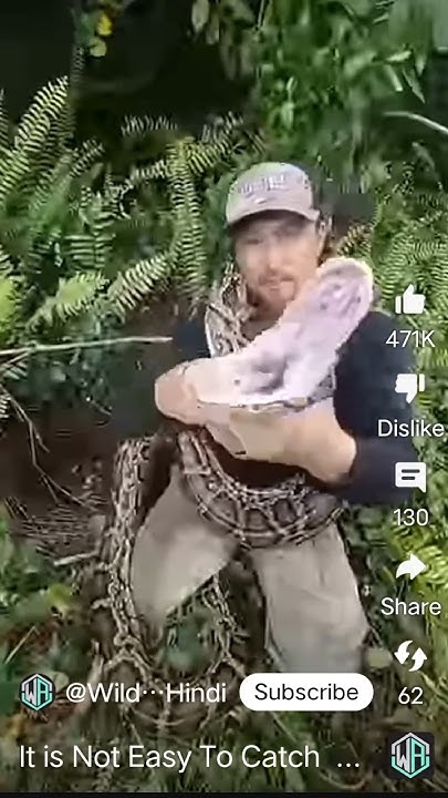 IT Is NOT EASY TO CATCH PYTHON 🔥🔥 - YouTube