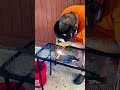#creatorsearchinsights #welding #metalwork #DIYprojects #welderlife YesWelder Store YesWelder
