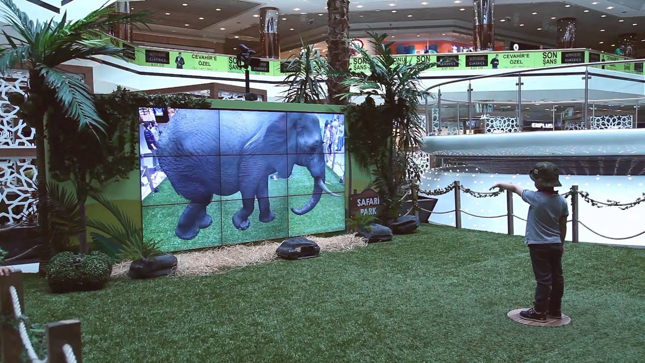 Cevahir - Safari Park - Interactive Event