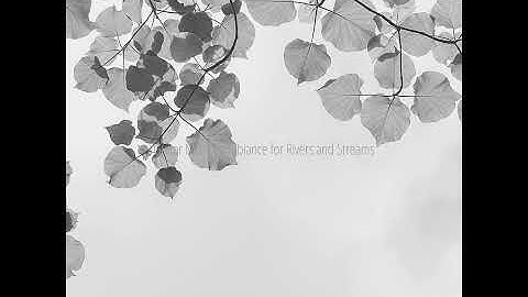 Thumbnail of Sultry Music for Moment