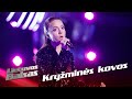 Kotrynai Vaitekėnaitė - Make You Feel My Love | Cross Battles | The Voice Lithuania