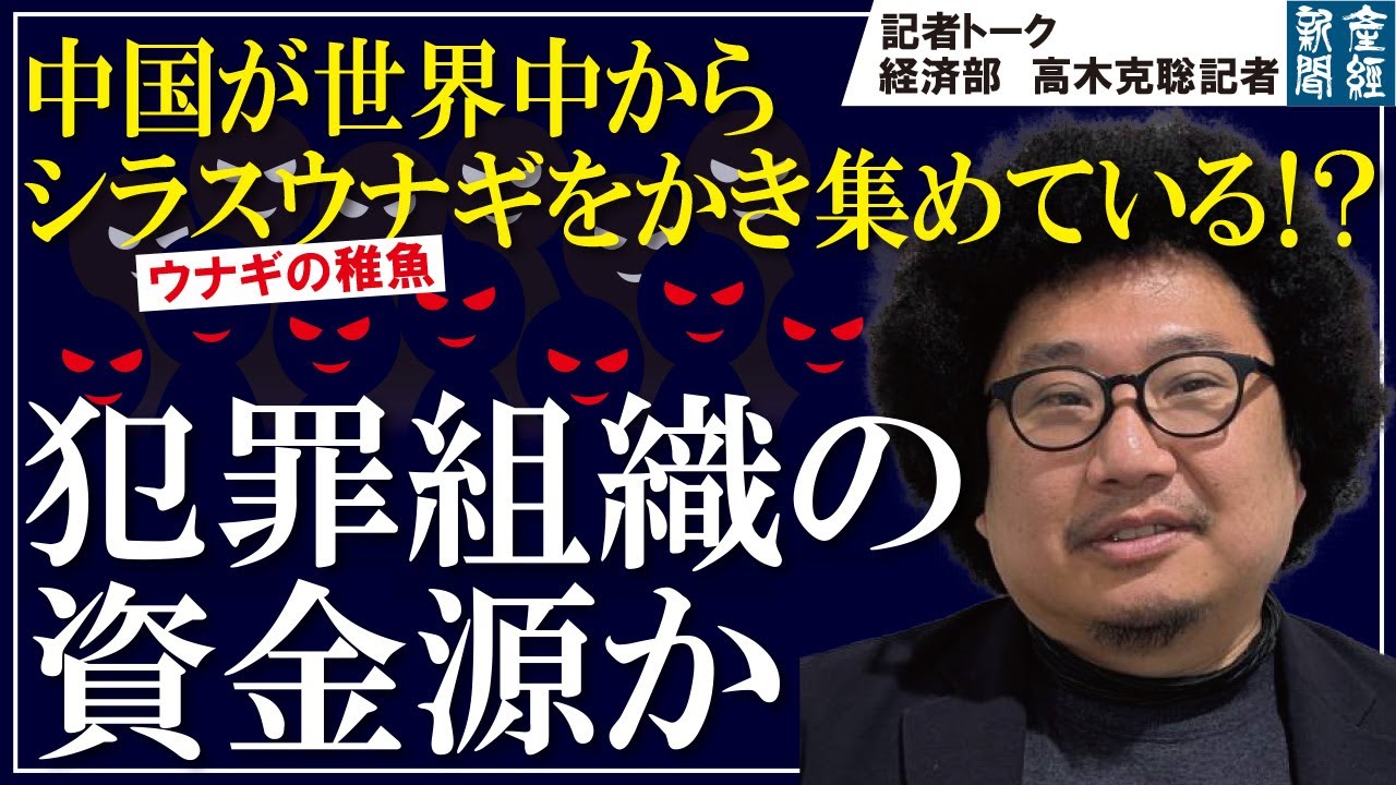 Reporter Talk] China's collection of glass eels (baby eels) from