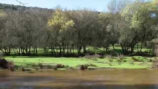 PASEOS POR ADAMUZ   MONTES COMUNALES