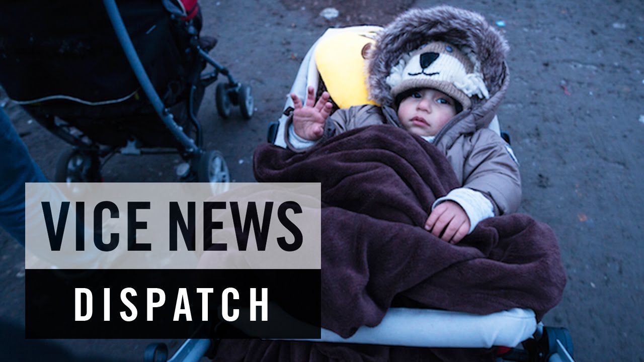 videos for cats Dunkirk’s Migrant Crisis: Breaking Borders