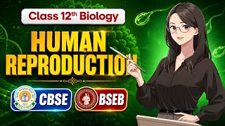 Class 12 Biology Chapter 2 LIVE 🔥 | Human reproduction | CBSE + BSEB Lecture 1