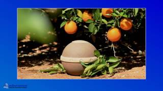 Natural Funerals in Spain