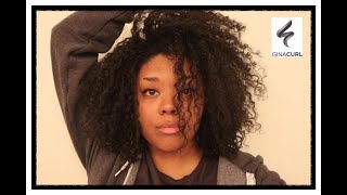 Curly Perm for Textured Hair/Permanent Curl Reformer / GinaCurl