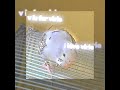 MY BEBE BIRD