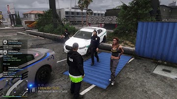 LSPDFR Intro Test 4