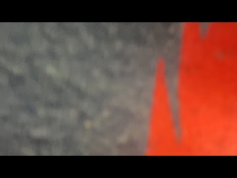 لماذا نفقد الشغف في هذه الحياة امال الحبيب