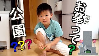 夜は墓場で運動会？？お墓ってなーに？【ココロマン普段の様子】