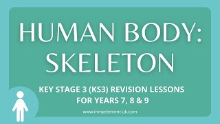 The Human Skeleton: Main function and why we need one - Biology Revision (Years 7, 8 & 9)