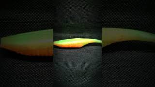 815900_2