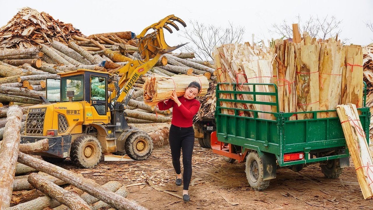 收垮木廠的廢木，運到村里賣給農戶當柴火…一鍋煮餃比賣廢紙賺錢多了 #农村生活 #乡村建造 #农家美食 #农场日常 #乡村致富