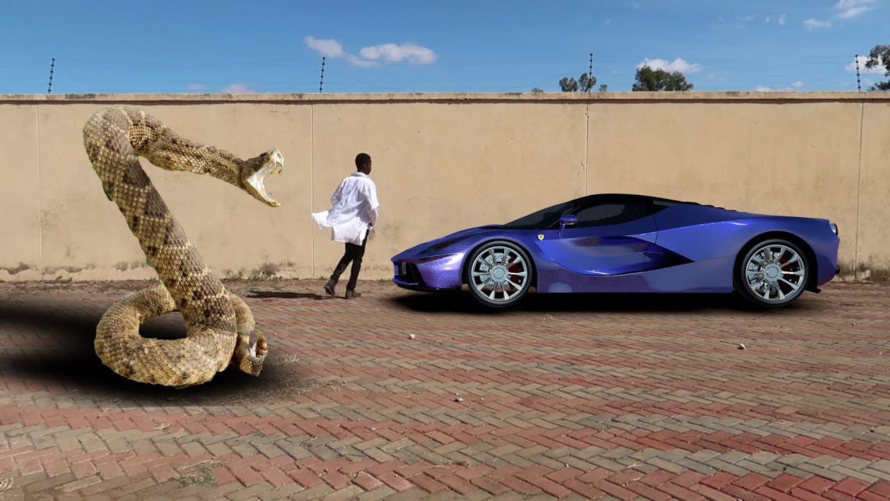 MOCONDA : Rise Of The Rattle_|_Light Pictures Production_|_ Zimbabwean ...