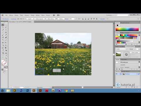 Wideo: Jak Przyciąć Zdjęcie W Programie Illustrator