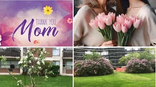 Mother’s Day Special Vlog | کچھ باتیں ماں کے نام۔ |