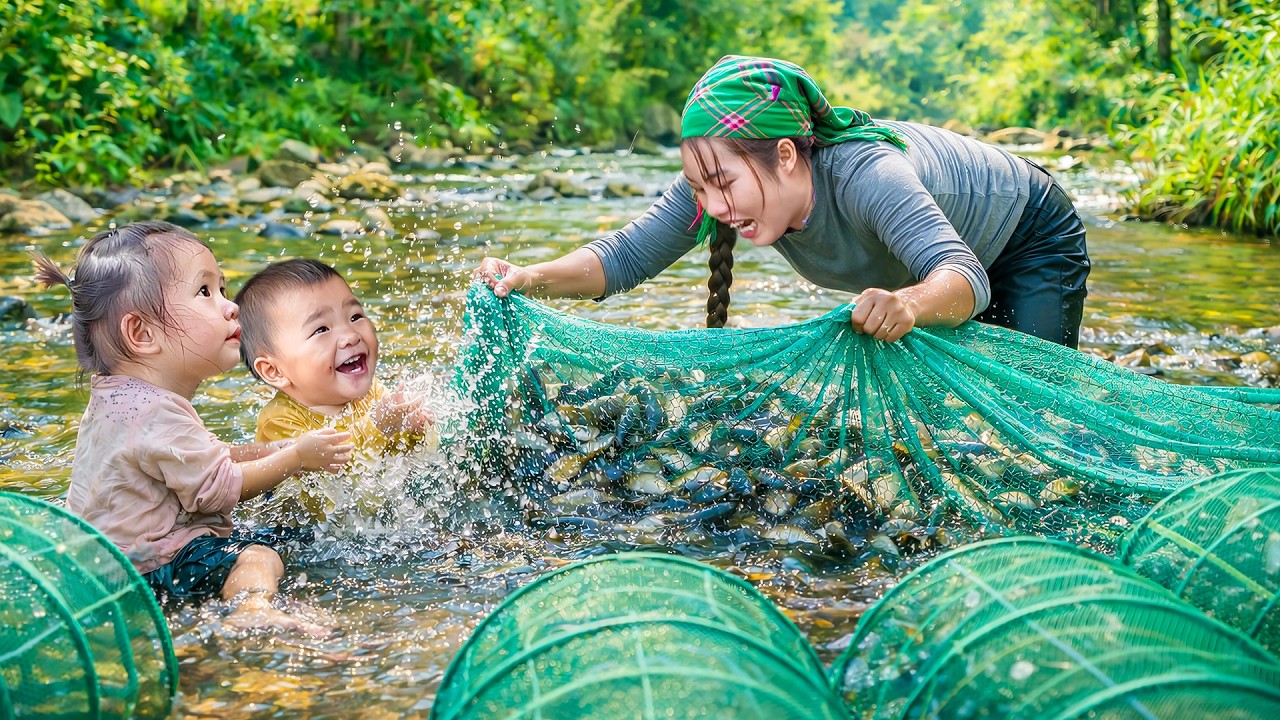 How to Harvest fish with nets to Sell at Market - Cook Fish porridge with Singer mom and Children