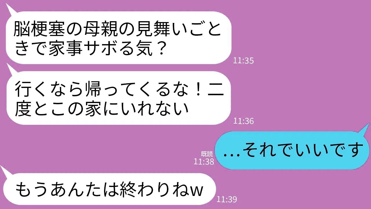 【LINE】脳梗塞で倒れた母の見舞いに行こうとする私に義母「家事サボるな！行くなら二度と帰ってこないでいい」→無視して家を出て永遠に帰らなかった結果www