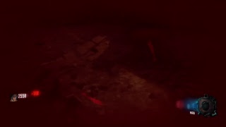 Area 51 Only-World Record Kills Attempt Dlc 5 Zombies Chronicles