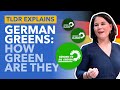 The World's Only Successful Green Party? What Can We Learn from the German Greens? - TLDR News