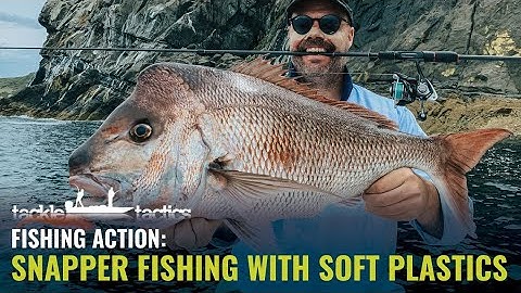Snapper Fishing with Soft Plastics - Fishing the Wash