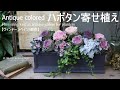 寄せ植え/アンティークカラーの葉牡丹プランター【冬のガーデニング】ヴィンテージベイン/萌花シリーズ-フローラ黒田園芸-4K ULTRA HD