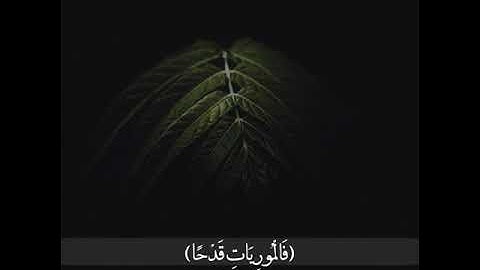 الشيخ توفيق المصعلي سورة العاديات