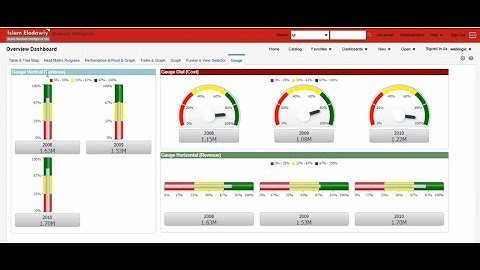 Oracle Business Intelligence Views in Dashboard