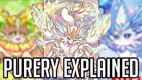 Purrely Explained in 19 Minutes [Yu-Gi-Oh! Archetype Analysis]