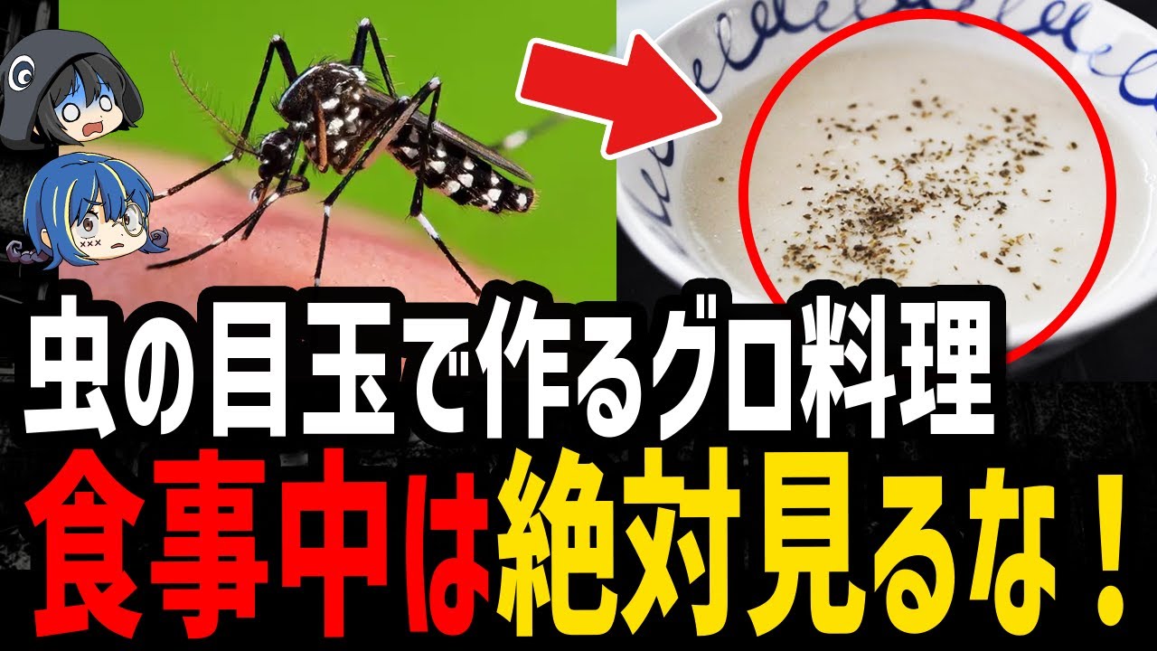 【ゆっくり解説】食事中には絶対見るな！吐き気を催す世界の奇食