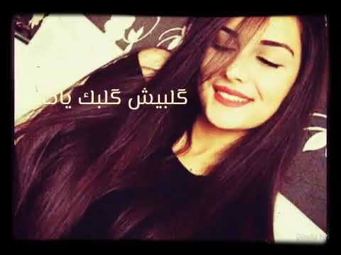 كلبيش كلبك يا خال