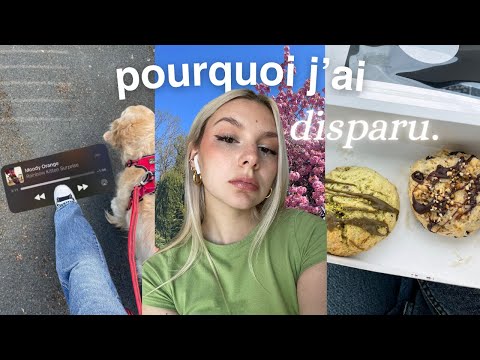 POURQUOI J'AI DISPARU